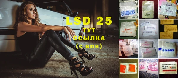 прущие грибы Протвино