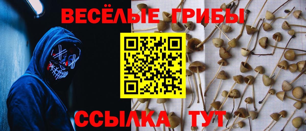 Псилоцибиновые грибы прущие грибы  Псилоцибиновые грибы ЛСД  Вход с VPN  Абинск 